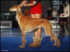 Dreamer_2 roky