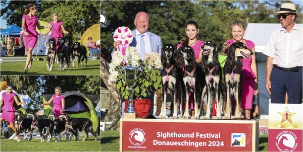 Al Zahra BEST IN SHOW chovatelská skupina