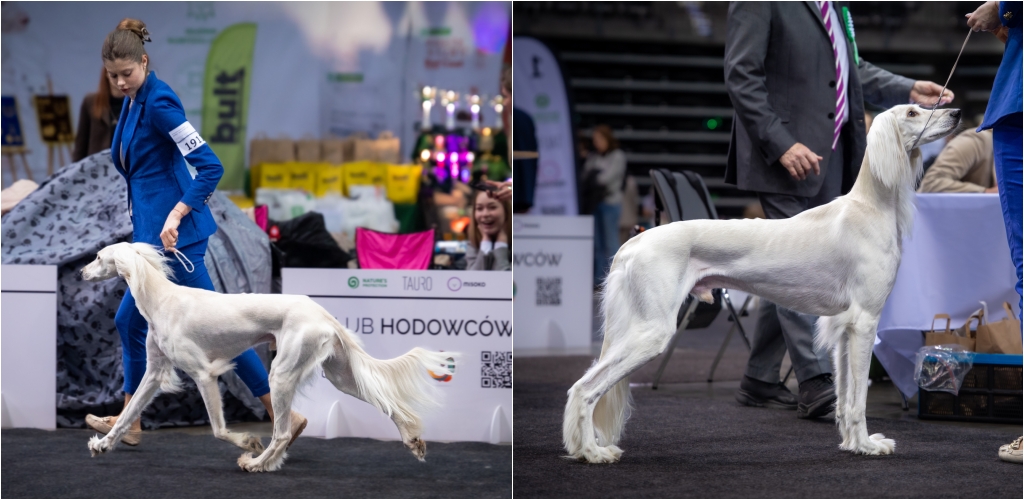 Katowice 2026