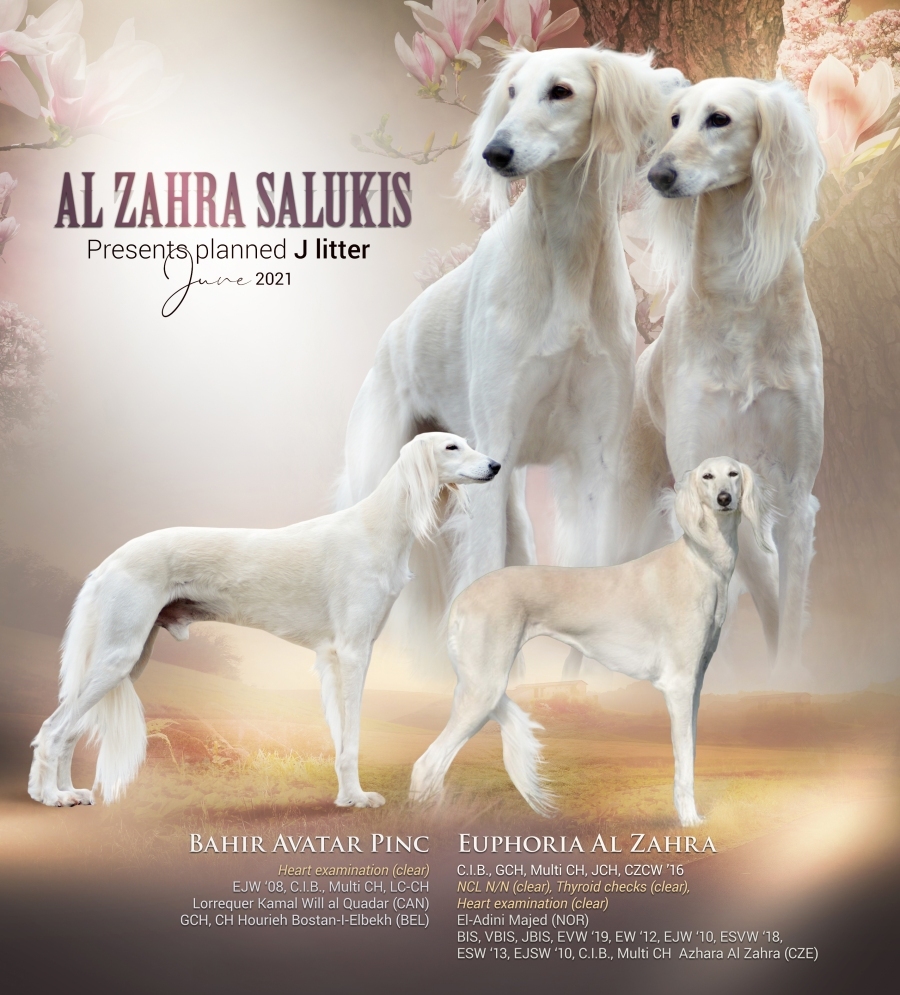Al Zahra